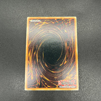 遊戯王　神碑の泉/コレクターズ/英語/1st/EU