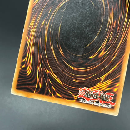 遊戯王　レア・ヴァリュー/レリーフ/ドイツ/1st/EU版