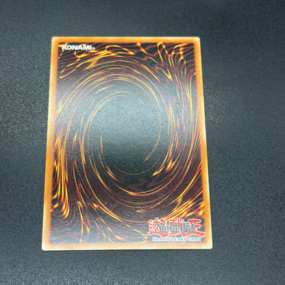 遊戯王　Ｍ∀ＬＩＣＥ＜Ｑ＞ＷＨＩＴＥ ＢＩＮＤＥＲ/コレクターズ/英語/1st/EU