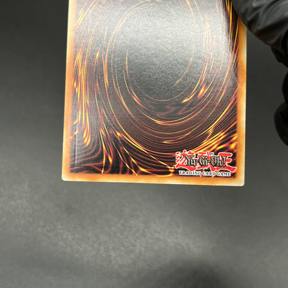 遊戯王　ブラック・マジシャン/レリーフ/イタリア語/1st/EU版