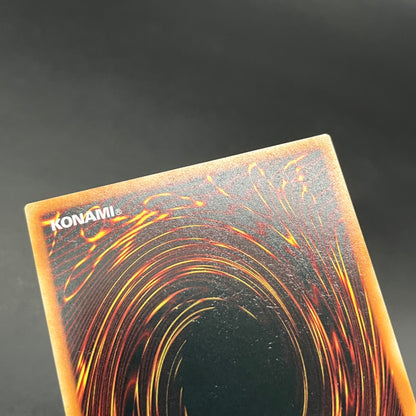 遊戯王　ブラック・マジシャン・ガール/クオシク/英語/1st/EU版