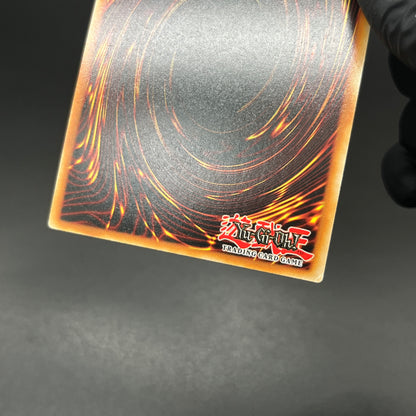 遊戯王　Ｅｖｉｌ★Ｔｗｉｎ リィラ/コレクターズ/英語/1st/EU