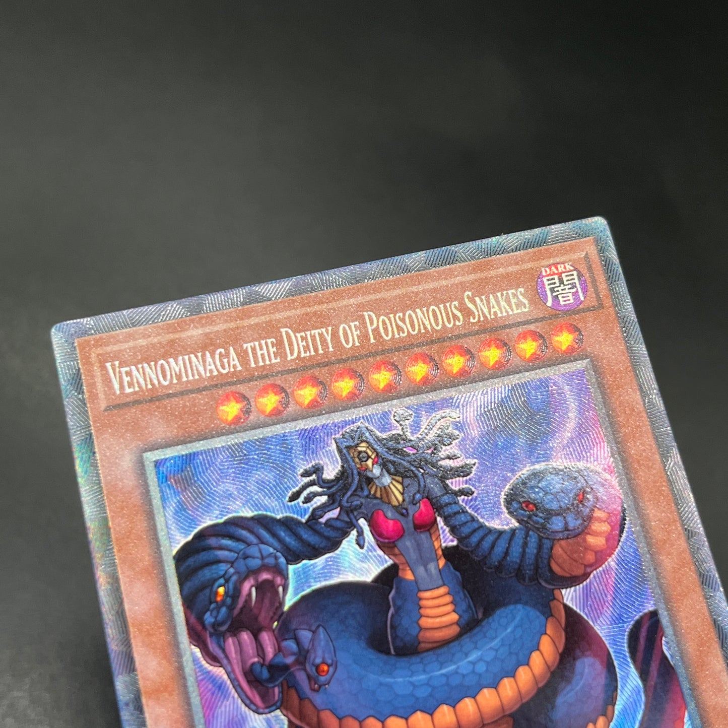 遊戯王　毒蛇神ヴェノミナーガ/コレクターズ/英語/1st/EU版