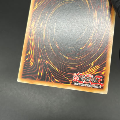 遊戯王　聖殿の水遣い/レリーフ/英語/EU版