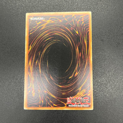 遊戯王　真紅眼の鋼炎竜/レリーフ/英語/1st/EU版