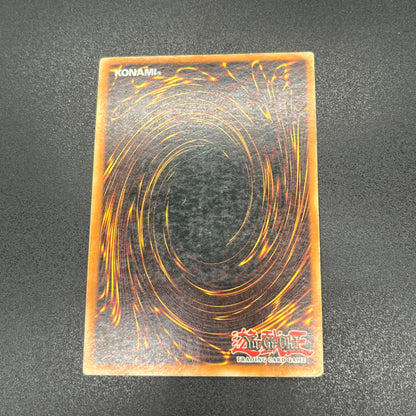 遊戯王　青眼の白龍/ウルトラ/ポルトガル/1st