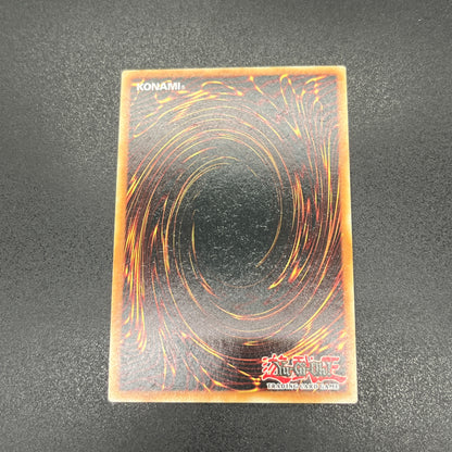 遊戯王　ブラック・マジシャン・ガール/クオシク/英語/1st/EU版