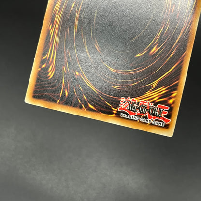 遊戯王　強引な安全協定/レリーフ/ドイツ語/EU版