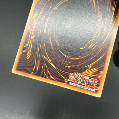 遊戯王　幻魔の殉教者/レリーフ/ドイツ語/EU版