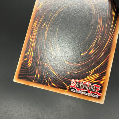 遊戯王　Ｅ・ＨＥＲＯ ブラック・ネオス/レリーフ/ドイツ語/EU版