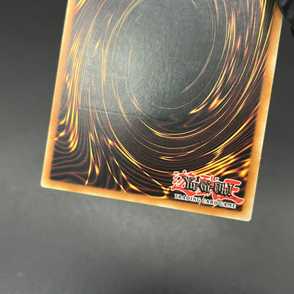 遊戯王　死のデッキ破壊ウイルス/レリーフ/フランス/1st/EU版