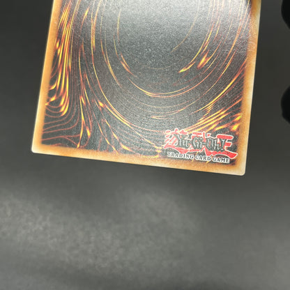 遊戯王　重騎士プリメラ/コレクターズレア/英語/1st/EU版