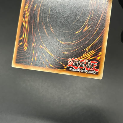 遊戯王　マスターモンク/レリーフ/ドイツ語/1st/EU版