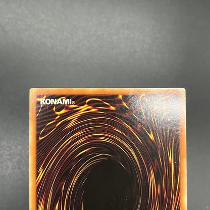 遊戯王　ブラック・マジシャン・ガール/シークレット/ドイツ語/EU