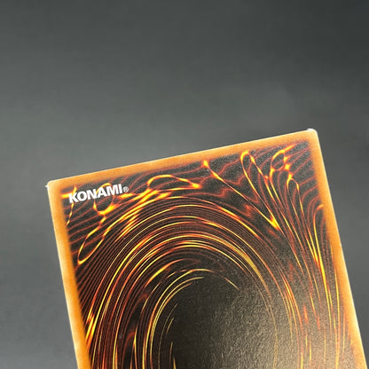 遊戯王　魔法吸収/レリーフ/ドイツ語/EU版