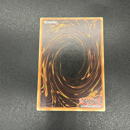 遊戯王　ナチュル・バンブーシュート/レリーフ/ドイツ/1st/EU版