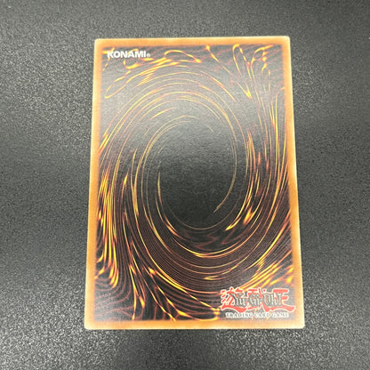 遊戯王　幻魔の殉教者/レリーフ/ドイツ語/EU版