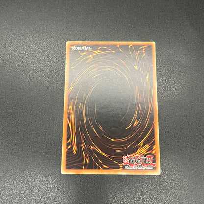 遊戯王　Ｎｏ.１０ 白輝士イルミネーター/レリーフ/ドイツ/EU版