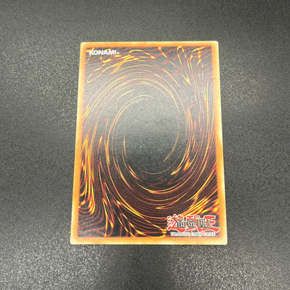 遊戯王　聖殿の水遣い/レリーフ/英語/EU版