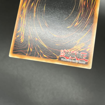 遊戯王　大邪神レシェフ/レリーフ/ドイツ語/1st/EU版