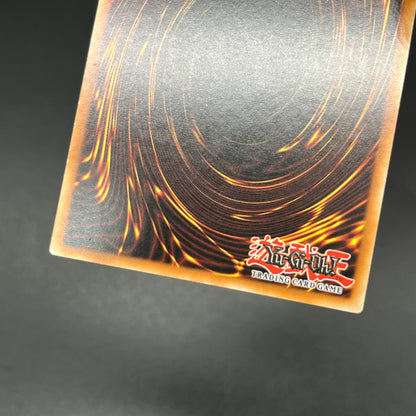 遊戯王　森の狩人イエロー・バブーン/レリーフ/ドイツ語/EU版