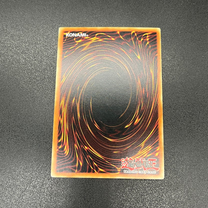 遊戯王　ブラック・マジシャン・ガール/ゴールド/ドイツ/1st/EU