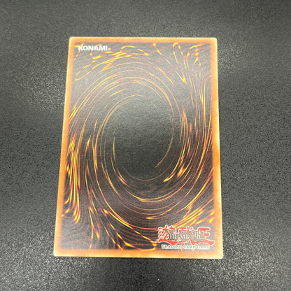 遊戯王　パワー・ツール・ドラゴン/レリーフ/フランス/EU版