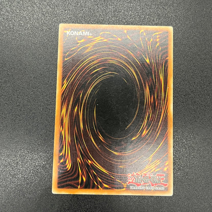 遊戯王　お家おとりつぶし/レリーフ/イタリア/1st/EU版