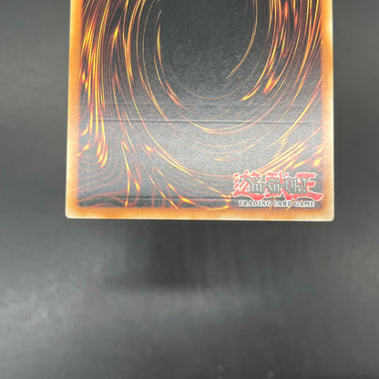 遊戯王　Ｎｏ.２０ 蟻岩土ブリリアント/レリーフ/スペイン語/EU版