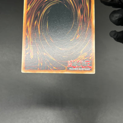 遊戯王　星態龍/レリーフ/イタリア/EU版