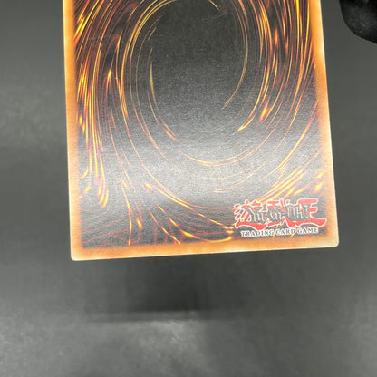 遊戯王　森の狩人イエロー・バブーン/レリーフ/フランス語/EU版