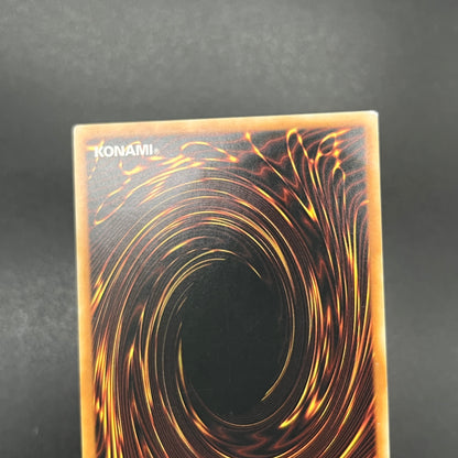 遊戯王　暴走する魔力/レリーフ/ドイツ/1st/EU版