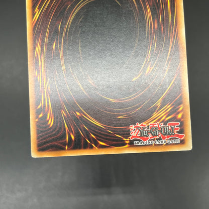 遊戯王　エネルギー吸収板/レリーフ/ドイツ語/1st/EU