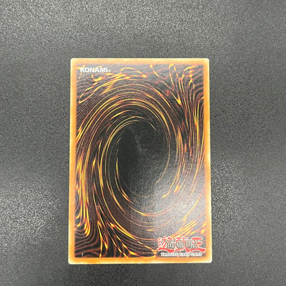 遊戯王　お家おとりつぶし/レリーフ/ドイツ語/1st/EU版