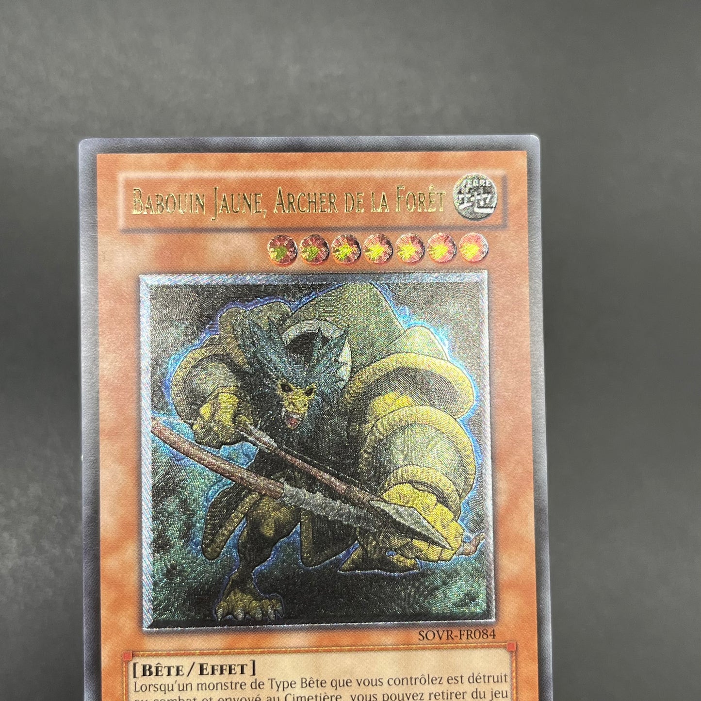 遊戯王　森の狩人イエロー・バブーン/レリーフ/フランス語/EU版