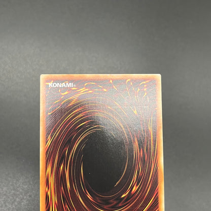 遊戯王　ＣＮｏ.９６ ブラック・ストーム/レリーフ/ドイツ/1st/EU版