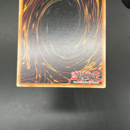 遊戯王　Ｄｒａｇｏｏｎ Ｄ－ＥＮＤ/レリーフ/ドイツ語/1st/EU版