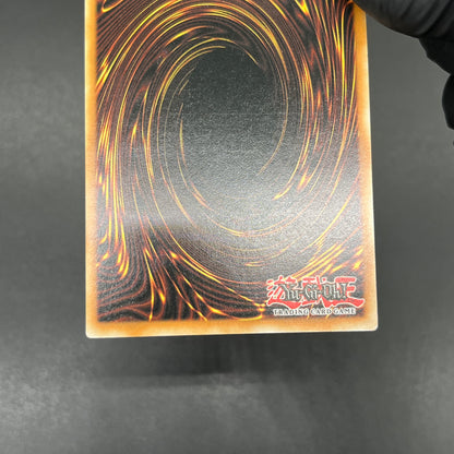 遊戯王　王宮の陥落/レリーフ/ドイツ/1st/EU版