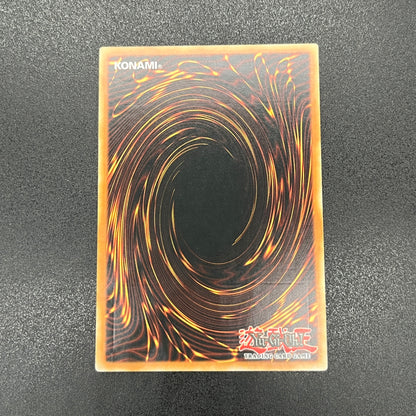 遊戯王　暴走する魔力/レリーフ/ドイツ/EU版