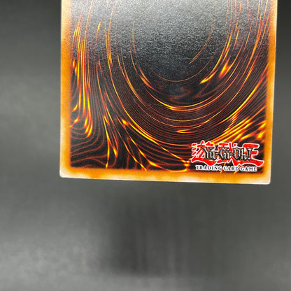 遊戯王　磁石の戦士マグネット・バルキリオン/シークレット/ドイツ語