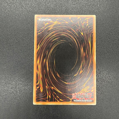 遊戯王　森の狩人イエロー・バブーン/レリーフ/フランス語/EU版