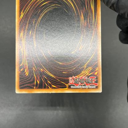 遊戯王　正統なる血統/レリーフ/イタリア語/1st/EU版