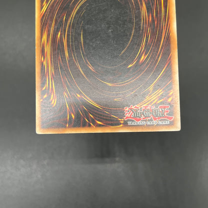 遊戯王　エネルギー吸収板/レリーフ/ドイツ語/1st/EU