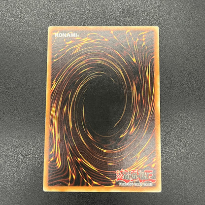 遊戯王　可変機獣 ガンナードラゴン/レリーフ/ドイツ語/EU版