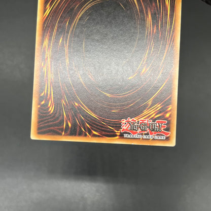 遊戯王　デーモン・カオス・キング/レリーフ/イタリア/EU版