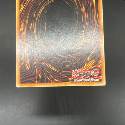 遊戯王　サイバー・オーガ２/レリーフ/ドイツ語/1st/EU版