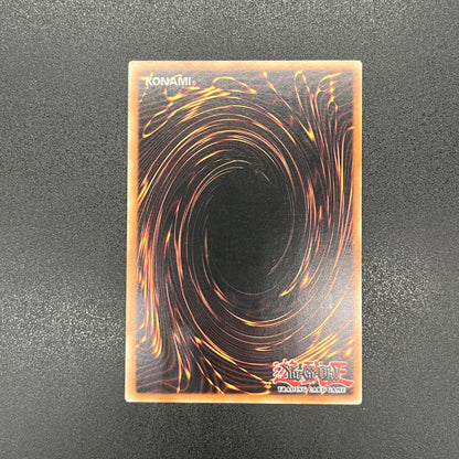 遊戯王　ダーク・ホルス・ドラゴン/レリーフ/ドイツ/EU版