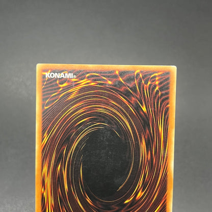 遊戯王　ファイヤー・ウォール/レリーフ/ドイツ語/1st/EU版