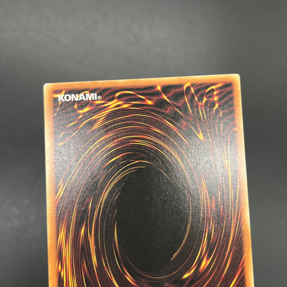 遊戯王　暗黒界の狩人 ブラウ/レリーフ/ドイツ/EU版