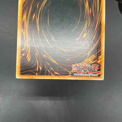 遊戯王　アビスフィアー/レリーフ/ドイツ/1st/EU版